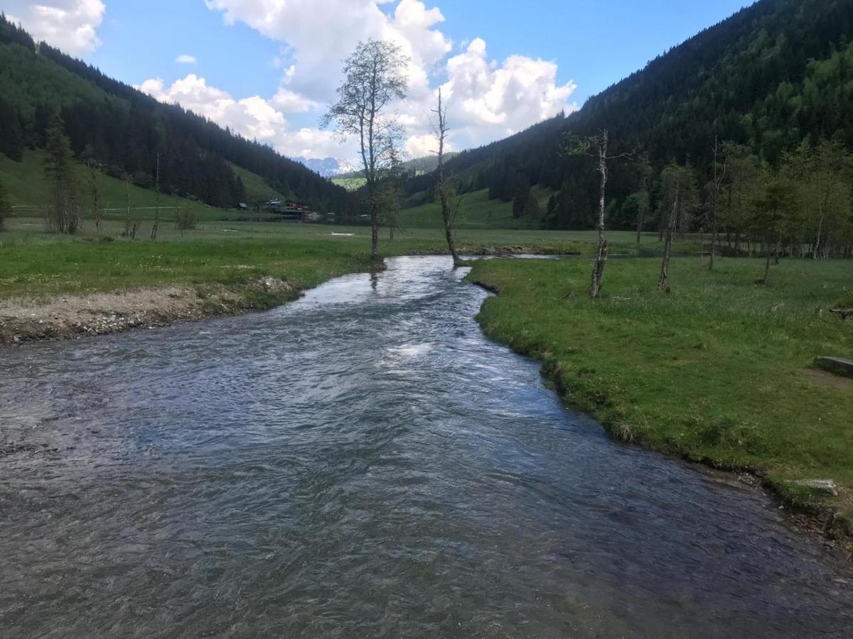 Ferienhaus Stoiser Villa Pruggern Exteriör bild