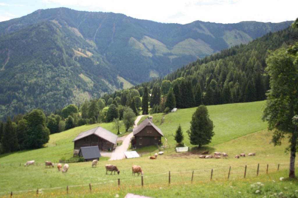 Ferienhaus Stoiser Villa Pruggern Exteriör bild